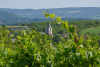 corrèze
