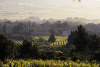 AOP "Corbières" ©Syndicat Général de l'AOC Corbières