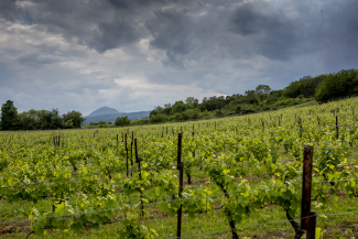 IGP Puy-de-Dôme ©Pierre Soissons