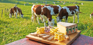 Comté ©CIGC / Jean-Pierre Van Der Elst 