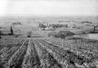 Côte Nord de Monbazillac vue du Château (1937) ©Galerie photo Bondier-Lecat