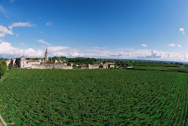 AOP "Saint-Émilion" ©CIVB