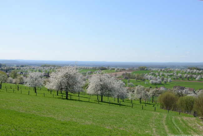 Paysage de printemps