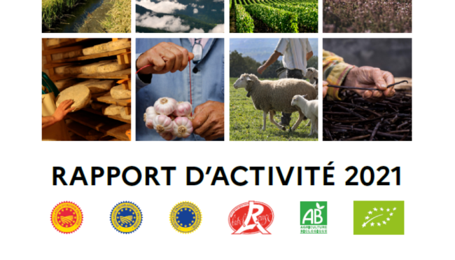 Couverture du rapport d'activité 2021