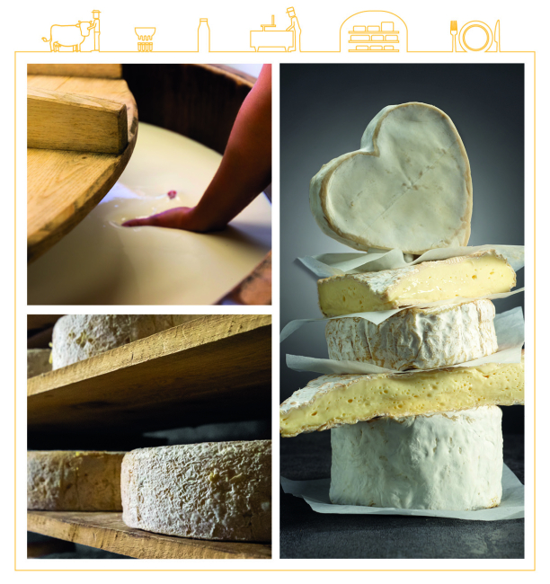 Fromages au lait cru
