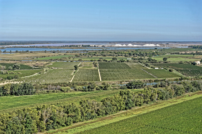 Paysages Sable de Camargue – Syndicat des Vins Sable de Camargue