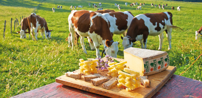 Comté ©CIGC / Jean-Pierre Van Der Elst