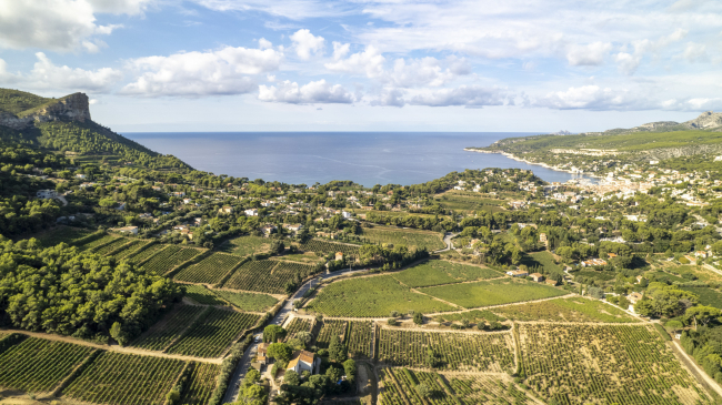 AOP "Cassis" ©Nicolas Tempier - Syndicat de Défense et de Gestion de l'Appellation Cassis