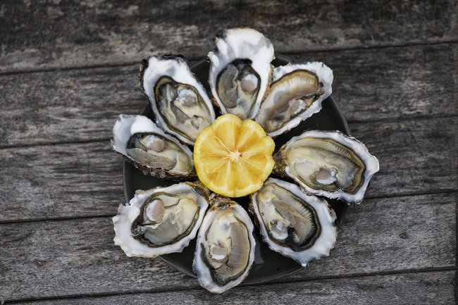 IGP_HuitresNormandie3 © !Conchyliculture Mer du Nord