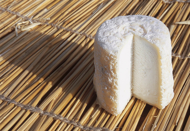 cheese