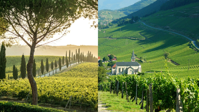 italie france vignoble