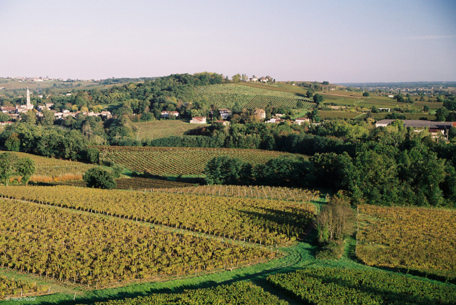 AOP "Premières Côtes de Bordeaux" ©Maison des vins de Cadillac