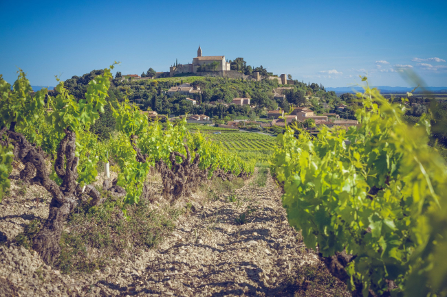 AOP "Cairanne" © Van Son Huynh / Syndicat des vignerons de Cairanne