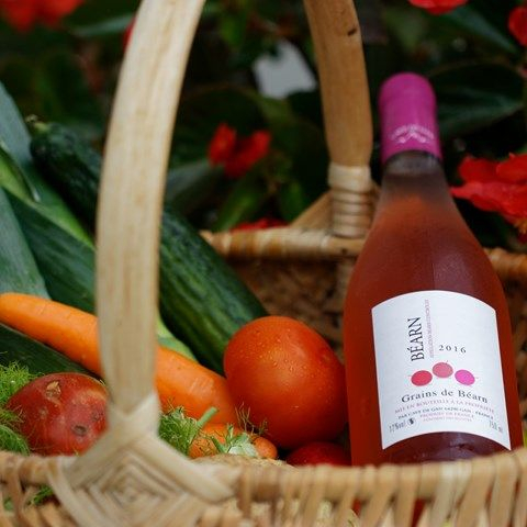 AOP "Béarn" ©AOC BEARN Vignoble - Cave de Gan